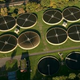 Image for article titled Bugs Will Give Us Free Power While Cleaning Our Sewage
